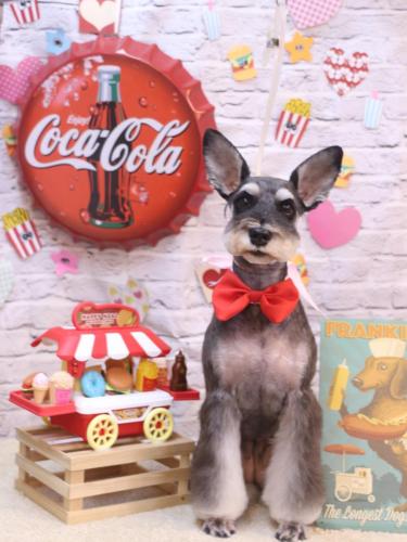 20230930ニーナちゃん